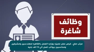 مرتب مغرٍ.. فرص عمل مميزة بوزارة العمل بالقاهرة لمهندسين ومشرفين ومحاسبين برواتب تصل إلى 12 ألف جنيه